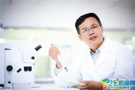 郑钦文进球数超C罗巅峰冲上热搜(冲上云霄1国语在线观看完整版免费)